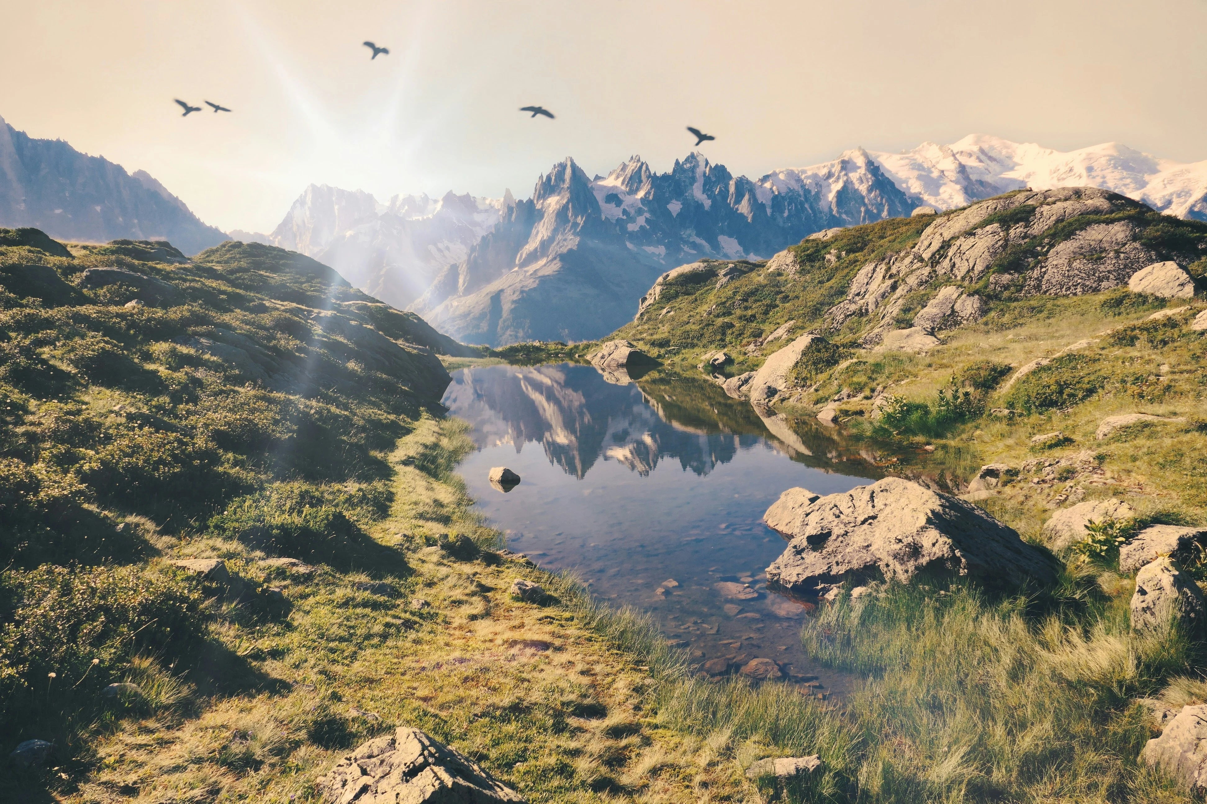 Nature & Mondes Sauvages